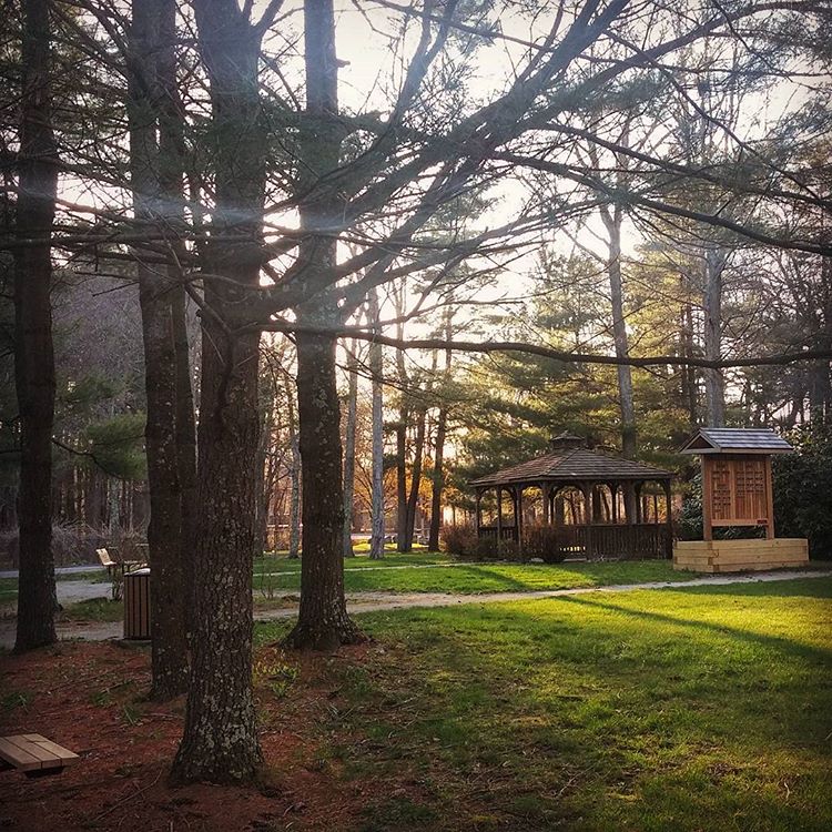 A green park clearing with a pagota further back on the right from where the viewer is standing. Close to the left, are a bunch of trees, providing some shade.