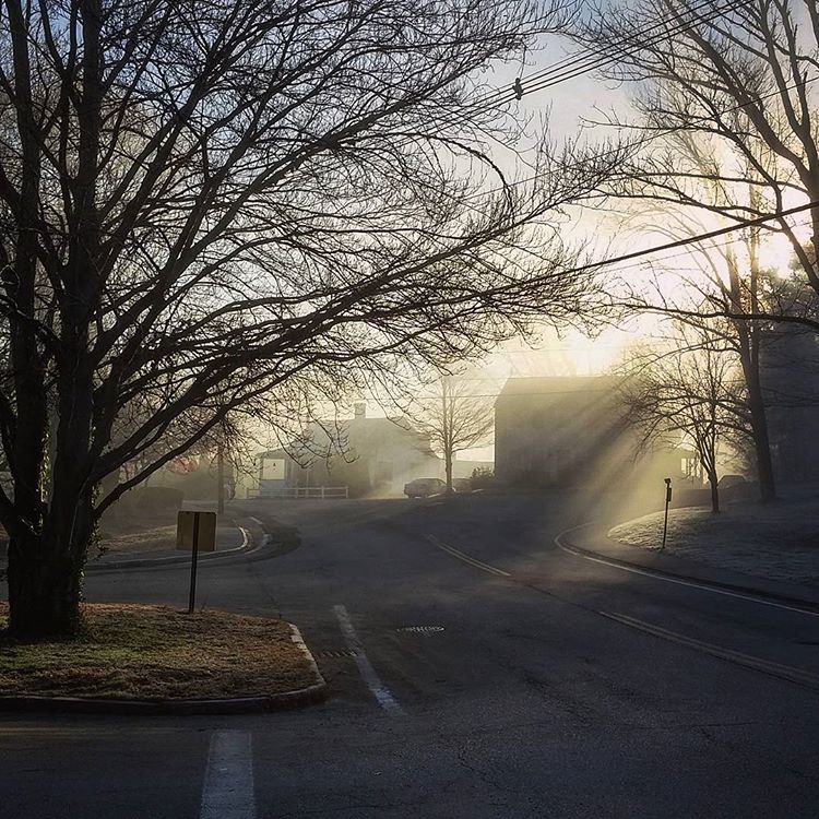 A dark street with the sunrise shining godrays through the morning mist. Along the edges of the image are trees, the left one's branches stretching out across most of the image's upper portions.